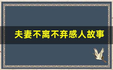 夫妻不离不弃感人故事