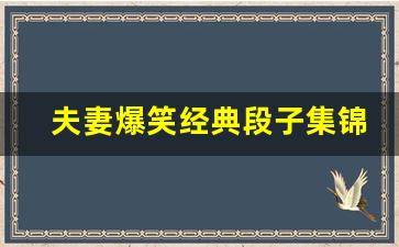 夫妻爆笑经典段子集锦_二人对话搞笑段子剧本