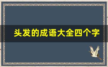 头发的成语大全四个字