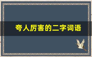 夸人厉害的二字词语