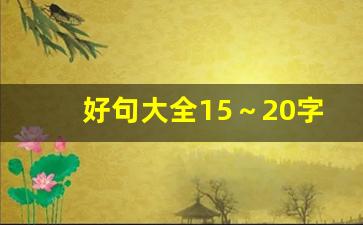 好句大全15～20字_好词30个好句10个