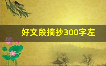 好文段摘抄300字左右