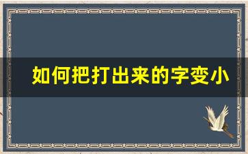 如何把打出来的字变小