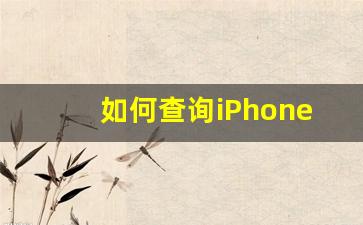 如何查询iPhone激活时间