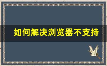 如何解决浏览器不支持的问题_浏览器不支持netscape