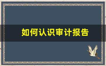 如何认识审计报告