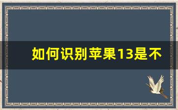 如何识别苹果13是不是正品