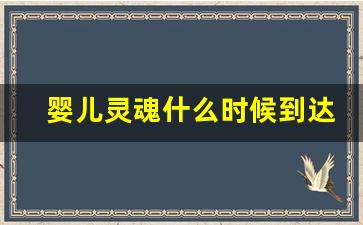 婴儿灵魂什么时候到达母体_被打掉的孩子灵魂会跟着爸爸吗