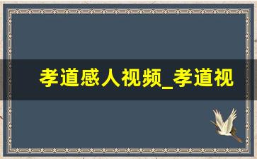 孝道感人视频_孝道视频宣传片