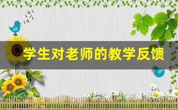 学生对老师的教学反馈