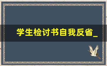 学生检讨书自我反省_工作犯错检讨书