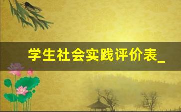 学生社会实践评价表_学生社会实践评价