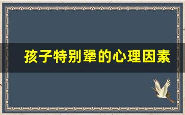 孩子特别犟的心理因素_孩子特别犟打都不怕怎么办