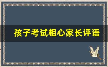 孩子考试粗心家长评语及改正措施_家长评语最精简20字