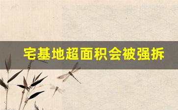 宅基地超面积会被强拆吗_2023年宅基地批准条件