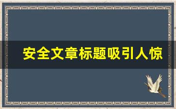 安全文章标题吸引人惊艳