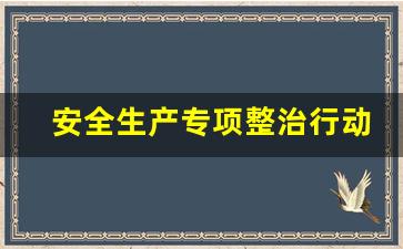 安全生产专项整治行动内容