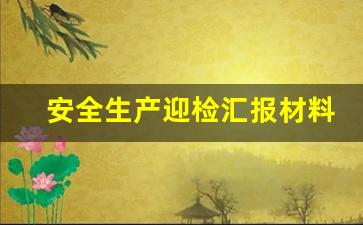 安全生产迎检汇报材料_安全生产巡查汇报材料