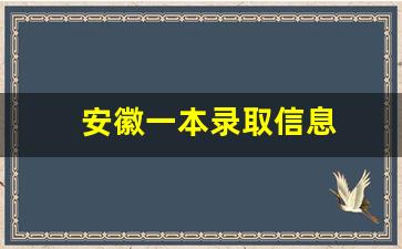 安徽一本录取信息