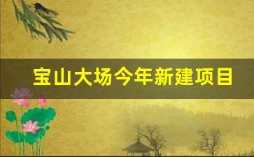 宝山大场今年新建项目_大场镇拆迁三期规划