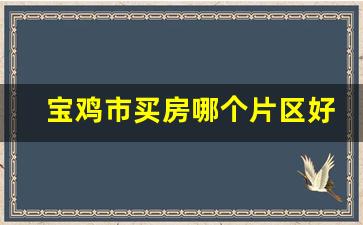 宝鸡市买房哪个片区好_宝鸡住哪个区比较方便