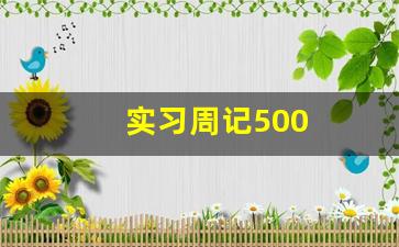 实习周记500