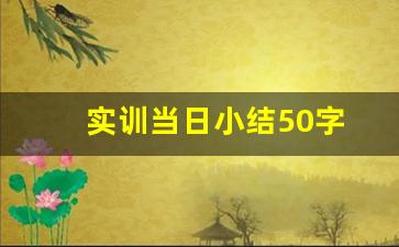 实训当日小结50字