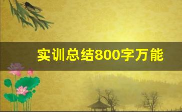 实训总结800字万能版