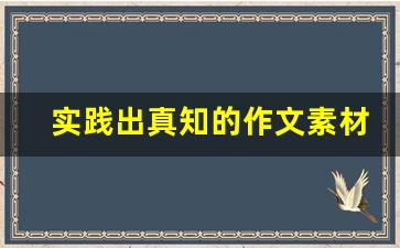 实践出真知的作文素材_敢于实践议论文800字