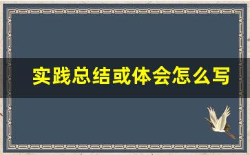 实践总结或体会怎么写_实践报告的实践总结怎么写