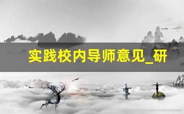 实践校内导师意见_研究生实践报告校内导师评语