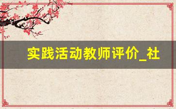 实践活动教师评价_社会实践老师工作内容