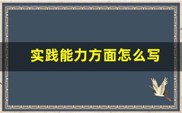 实践能力方面怎么写