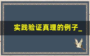 实践验证真理的例子_实践检验真理800字演讲稿