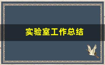 实验室工作总结