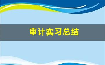 审计实习总结