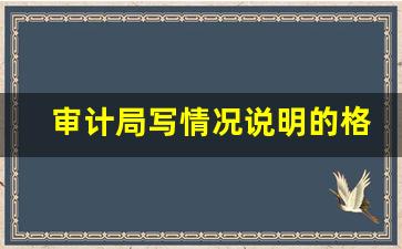 审计局写情况说明的格式要求_审计问题情况说明范文