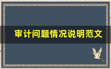 审计问题情况说明范文_后续审计报告