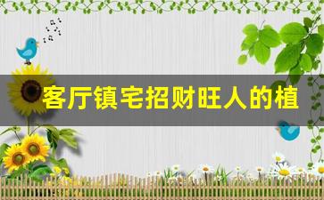 客厅镇宅招财旺人的植物_家里养什么植物招财又镇宅