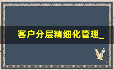 客户分层精细化管理_客户分类6种