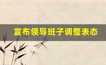 宣布领导班子调整表态发言_领导调动表态发言简短