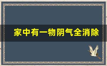 家中有一物阴气全消除