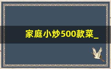 家庭小炒500款菜_配米饭的经典炒菜