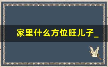 家里什么方位旺儿子_厨房在哪个方位最旺财