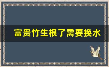 富贵竹生根了需要换水吗