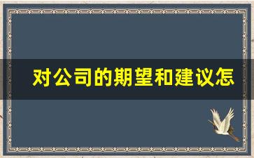 对公司的期望和建议怎么写