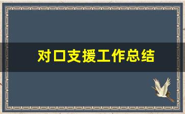 对口支援工作总结