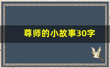 尊师的小故事30字