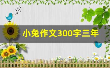 小兔作文300字三年级