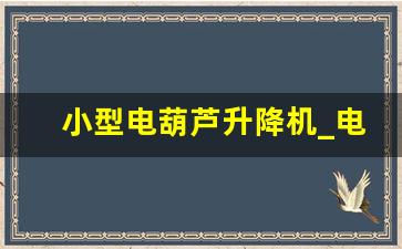 小型电葫芦升降机_电动升降平台车